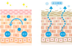 保湿